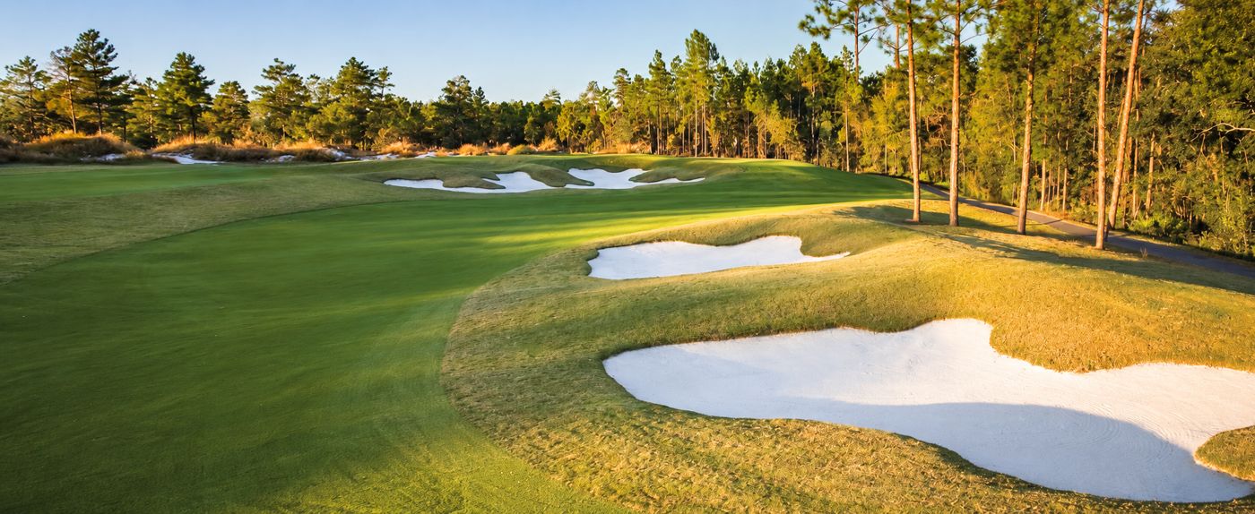 Bright white bunkers along a fairway lined with pines